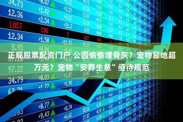 正规股票配资门户 公园偷偷埋骨灰？宠物墓地超万元？宠物“安葬生意”亟待规范