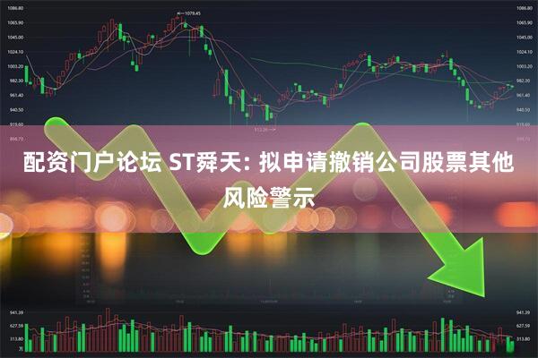 配资门户论坛 ST舜天: 拟申请撤销公司股票其他风险警示