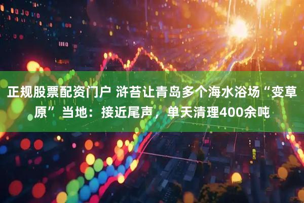 正规股票配资门户 浒苔让青岛多个海水浴场“变草原” 当地：接近尾声，单天清理400余吨